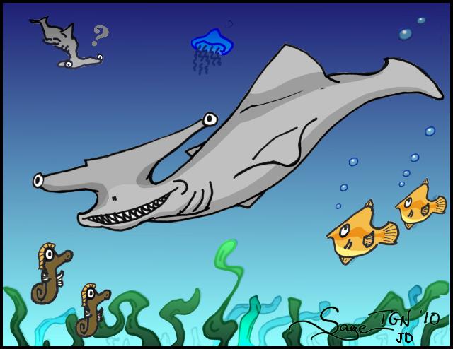 Underwater scene with seahorses, fish, jellyfish puzzeled hammer head shark and the elusive anvil head shark.